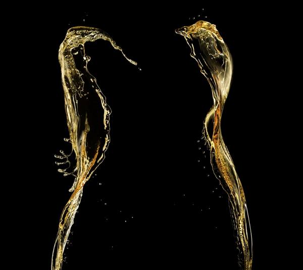 Photograph Jonathan Knowles Organoleptic on One Eyeland